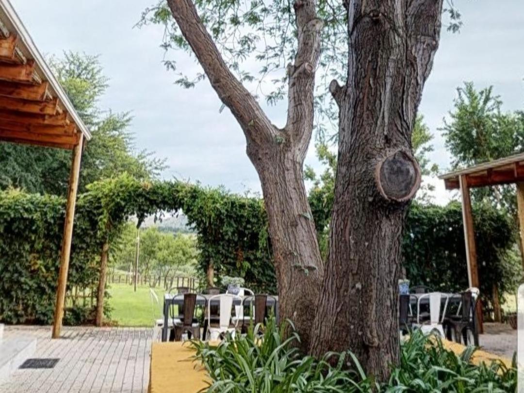 Cradle Valley Boutique Guesthouse Muldersdrift Esterno foto