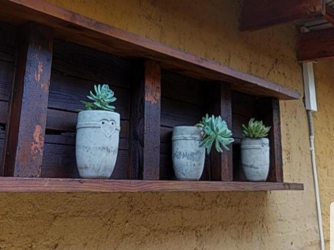 Cradle Valley Boutique Guesthouse Muldersdrift Esterno foto